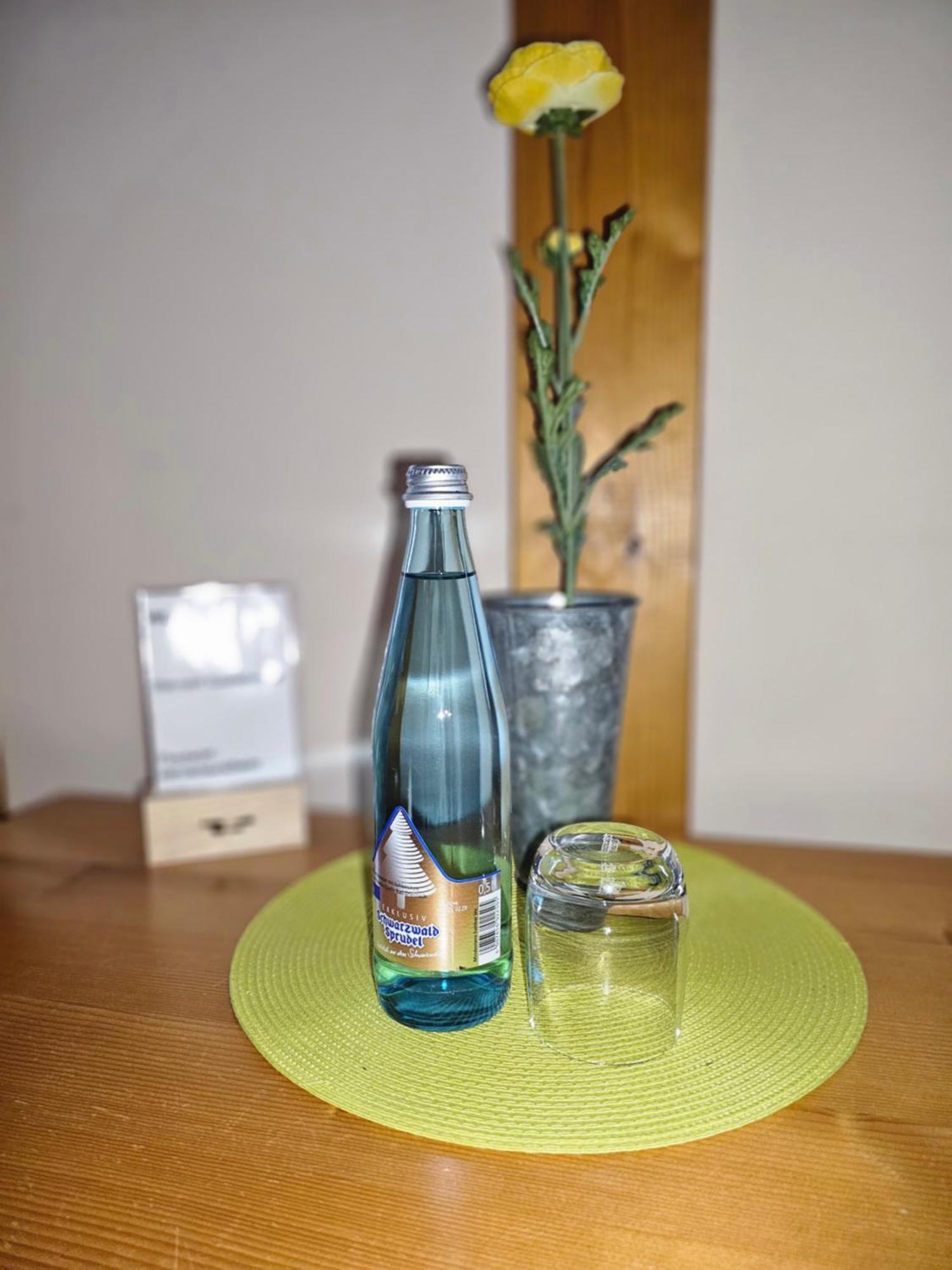 Landgasthaus Sternen Kehl Екстериор снимка